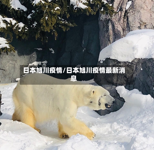 日本旭川疫情/日本旭川疫情最新消息