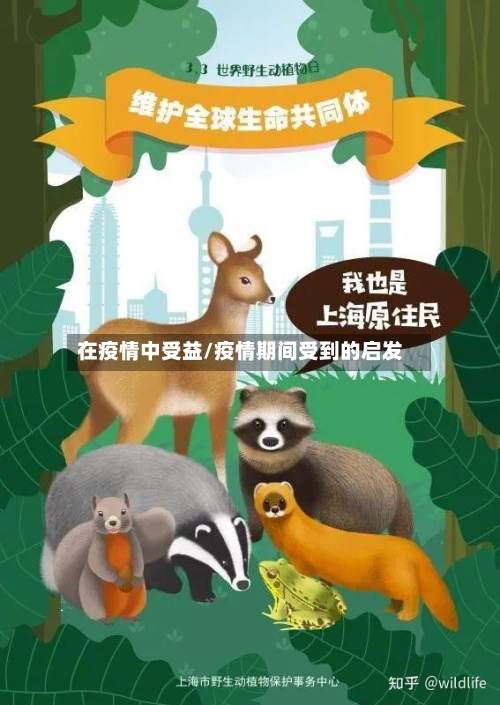 在疫情中受益/疫情期间受到的启发