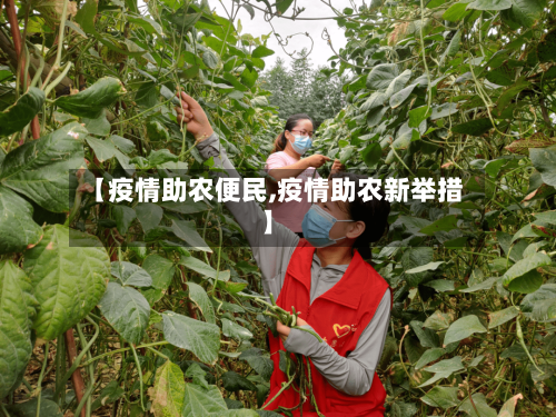 【疫情助农便民,疫情助农新举措】