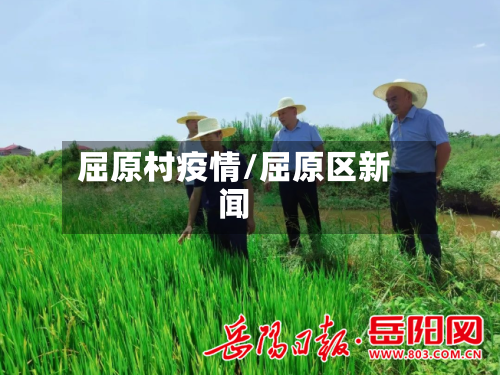 屈原村疫情/屈原区新闻-第3张图片