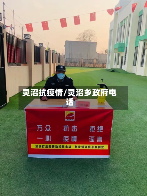 灵沼抗疫情/灵沼乡政府电话-第1张图片