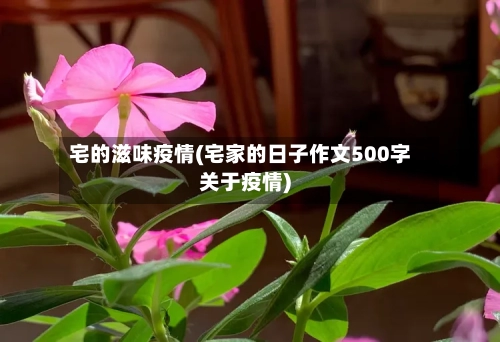 宅的滋味疫情(宅家的日子作文500字关于疫情)-第1张图片