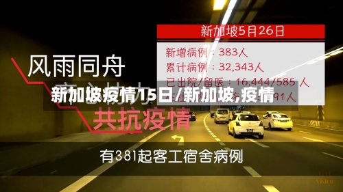 新加坡疫情15日/新加坡,疫情-第3张图片