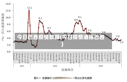 今日巴西疫情数据(今日疫情通报巴西)-第1张图片