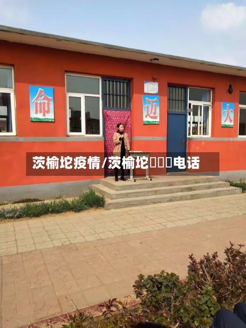 茨榆坨疫情/茨榆坨犇羴鱻电话-第1张图片