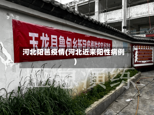 河北阳邑疫情(河北近来阳性病例)-第1张图片