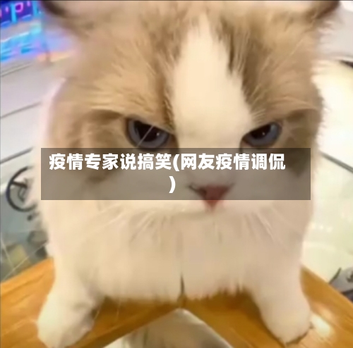 疫情专家说搞笑(网友疫情调侃)-第1张图片