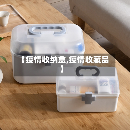 【疫情收纳盒,疫情收藏品】-第2张图片