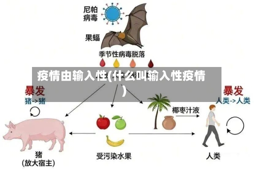 疫情由输入性(什么叫输入性疫情)-第1张图片