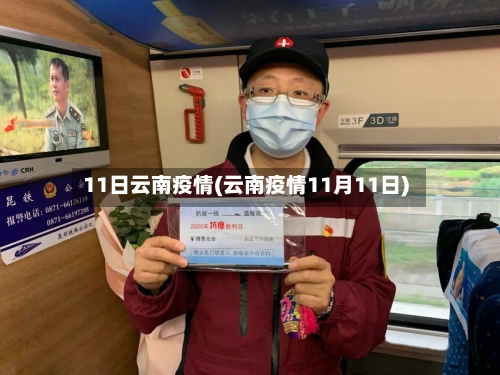 11日云南疫情(云南疫情11月11日)-第1张图片