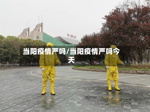 当阳疫情严吗/当阳疫情严吗今天-第1张图片