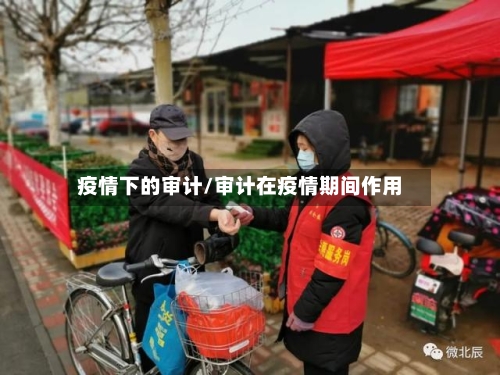 疫情下的审计/审计在疫情期间作用-第1张图片